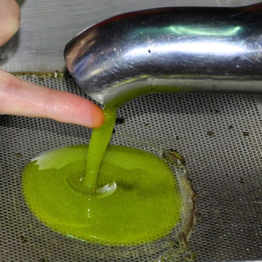 How to Taste and Store Extra Virgin Olive Oil