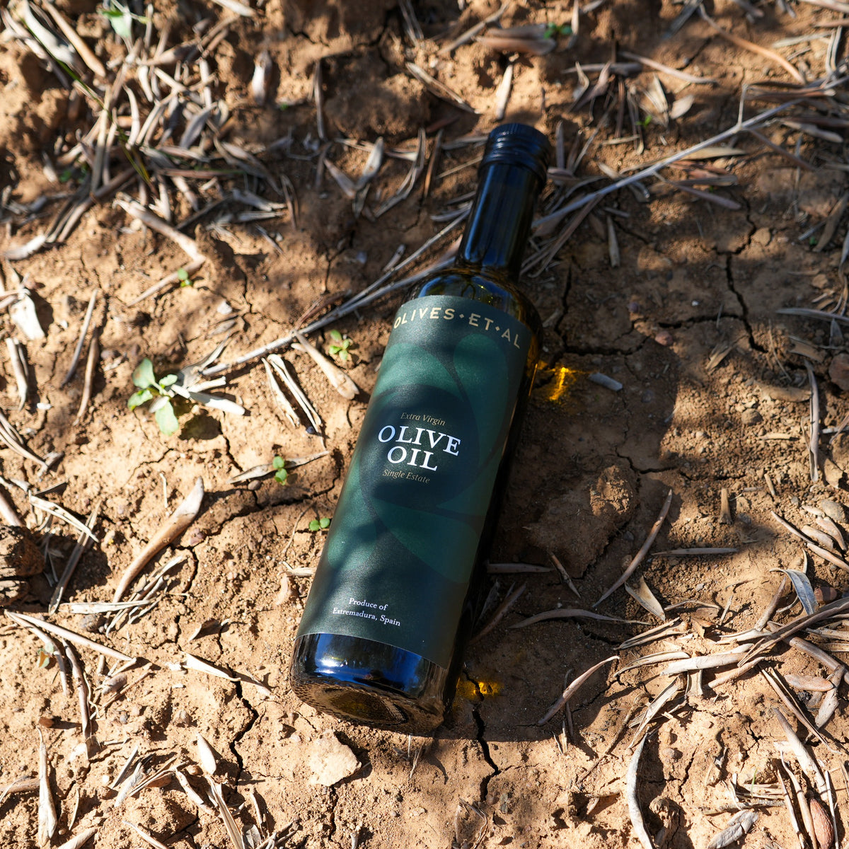 Olives Et Al House Extra Virgin Olive Oil 500ml bottle on the earth in an olive grove