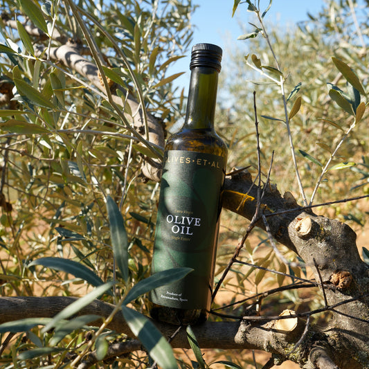 Olives Et Al House Extra Virgin Olive Oil 500ml bottle among olive branches